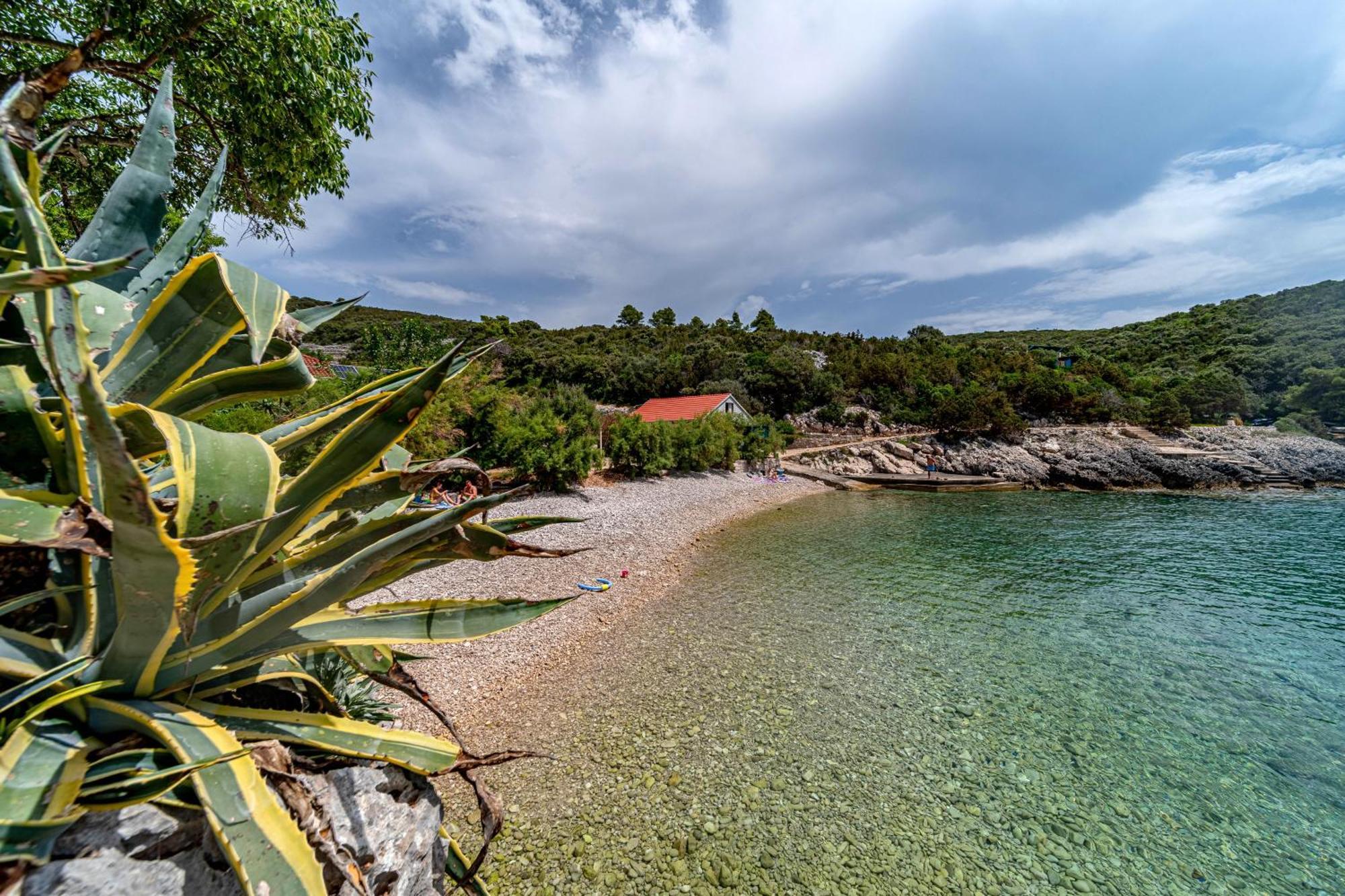 Seaside House For Families With Children Cove Rasohatica, Korcula - 4386 Lumbarda Extérieur photo